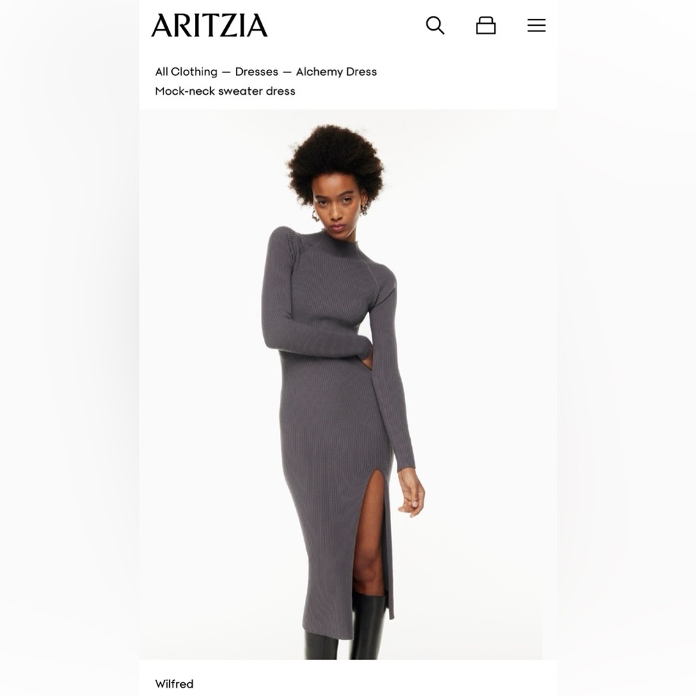 Aritzia Wilfred Alchemy Dress size Large like new